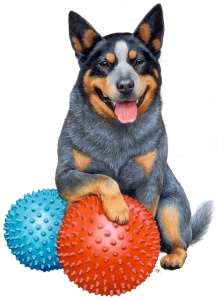 large dog balls