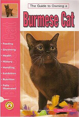 Guide To Owning A Burmese Cat Cat Breed Books Ozpetshop